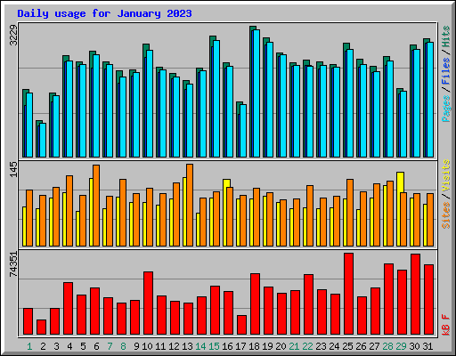 Daily usage for January 2023