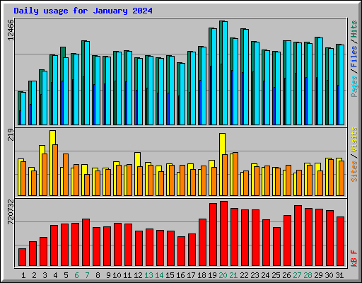 Daily usage for January 2024