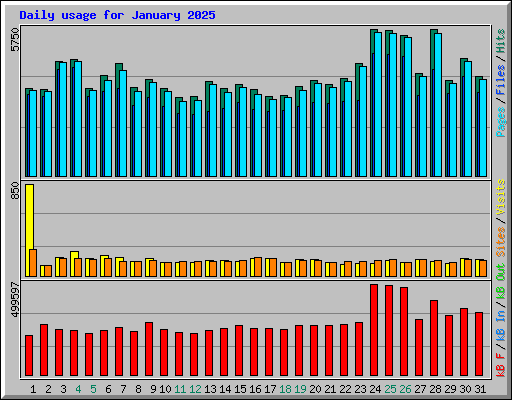 Daily usage for January 2025