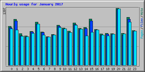 Hourly usage for January 2017