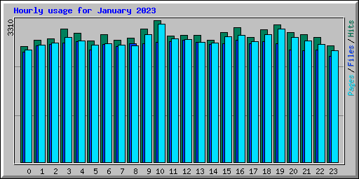 Hourly usage for January 2023