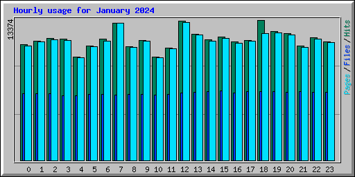 Hourly usage for January 2024