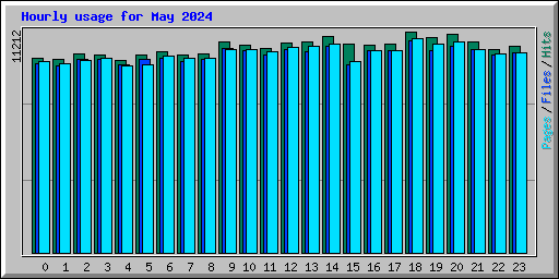 Hourly usage for May 2024
