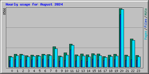 Hourly usage for August 2024