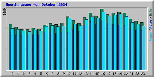 Hourly usage for October 2024
