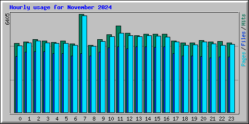 Hourly usage for November 2024