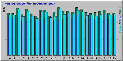 Hourly usage for December 2024