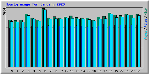 Hourly usage for January 2025