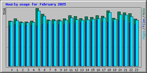 Hourly usage for February 2025