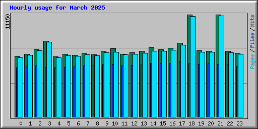 Hourly usage for March 2025