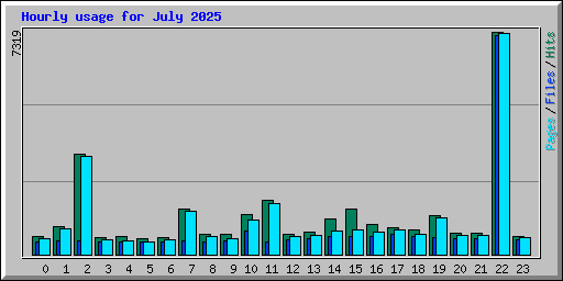 Hourly usage for July 2025