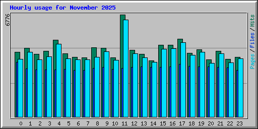 Hourly usage for November 2025