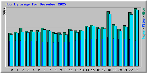 Hourly usage for December 2025